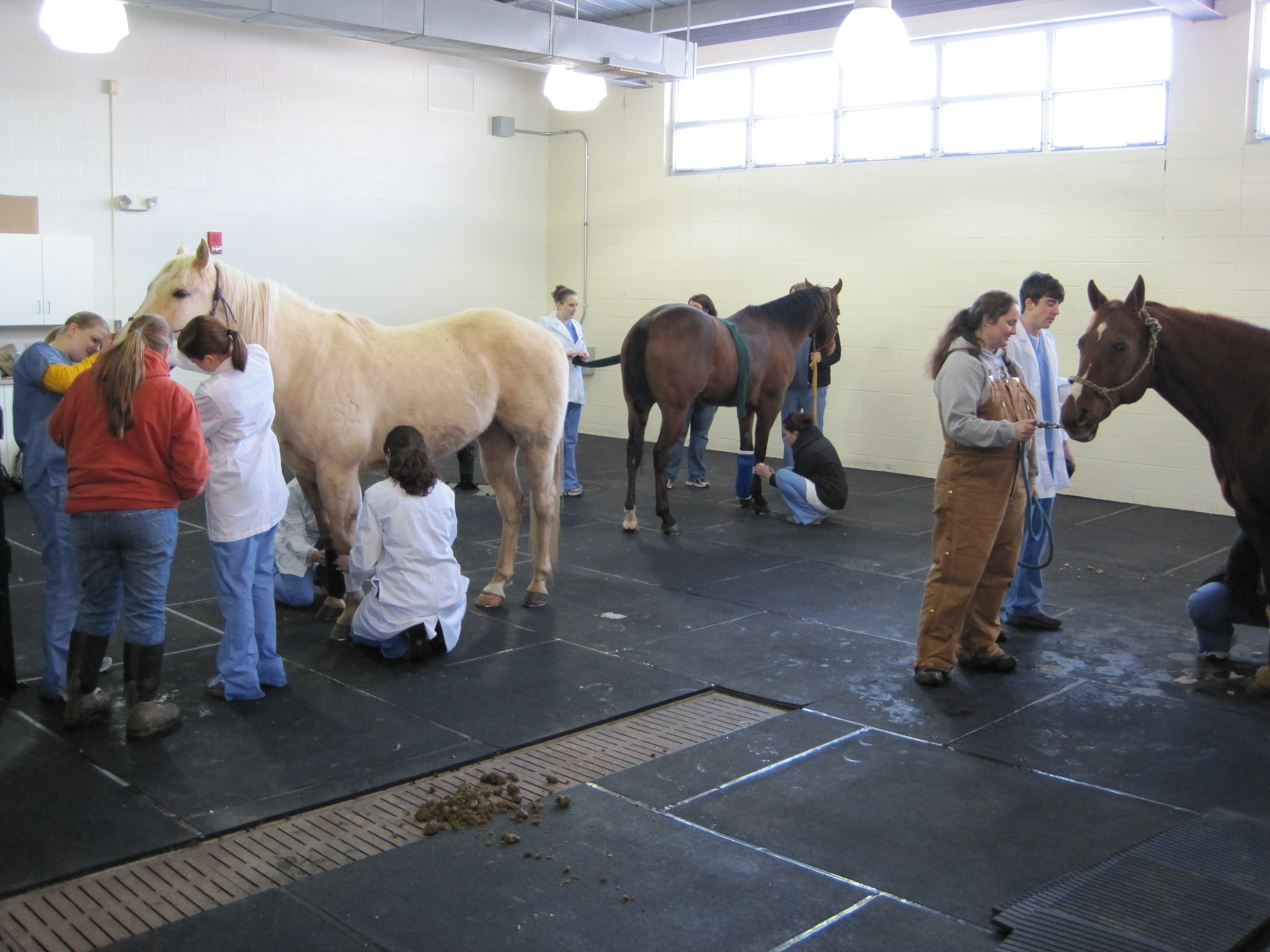 {short description of image}